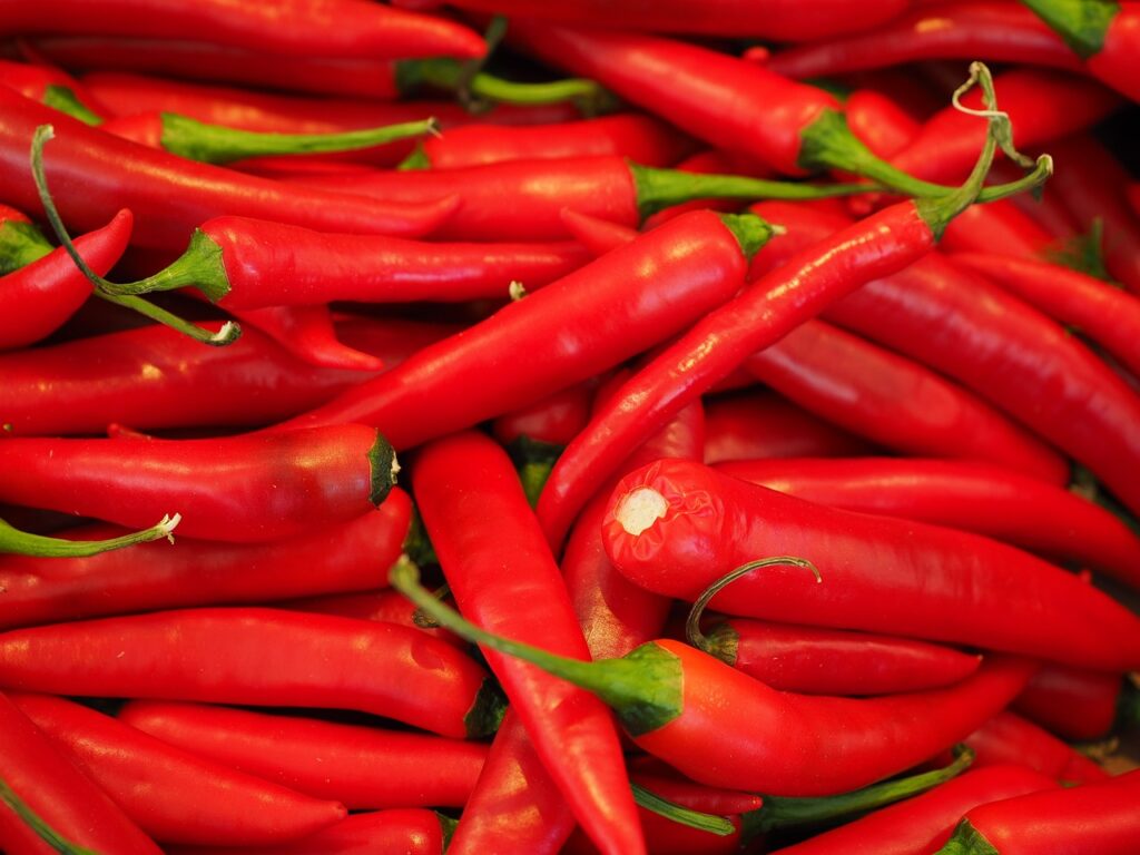 chili, red, sharp-499063.jpg